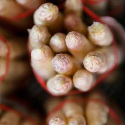 Asperges en botte